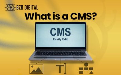 What is a CMS?