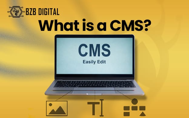 What is a CMS?