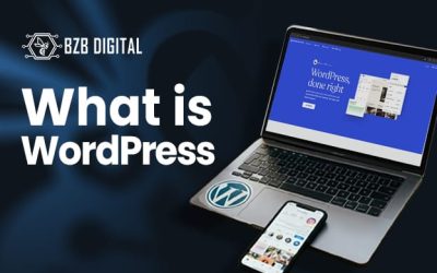 What is WordPress