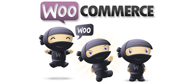 Power your Online Shop Easily with WooCommerce