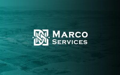 Transforming digital presence with BZB digital marketing