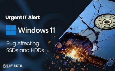Urgent IT Alert: Windows 11 Bug Affecting SSDs and HDDs